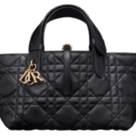 DIOR  Small Dior Toujours Bag