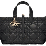 DIOR  Medium Dior Toujours Bag