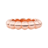 Bron : RING