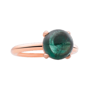 Bron : RING