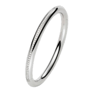 BANGLE