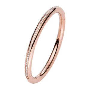 BANGLE