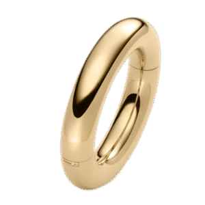 BANGLE