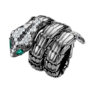 Leon Martens : RING