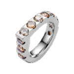 Tamara Comolli : RING