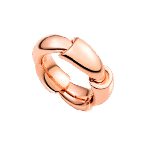 Vhernier  RING