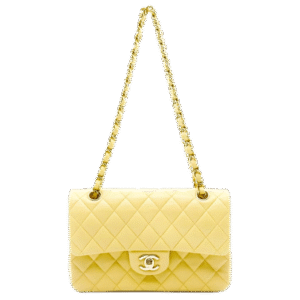 Chanel  CHANEL 2021 Double Flap shoulder bag